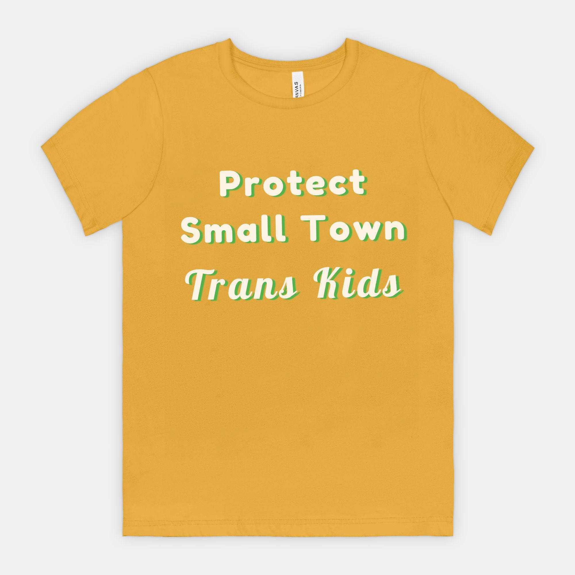 Protect Small Town Trans Kids T-shirt
