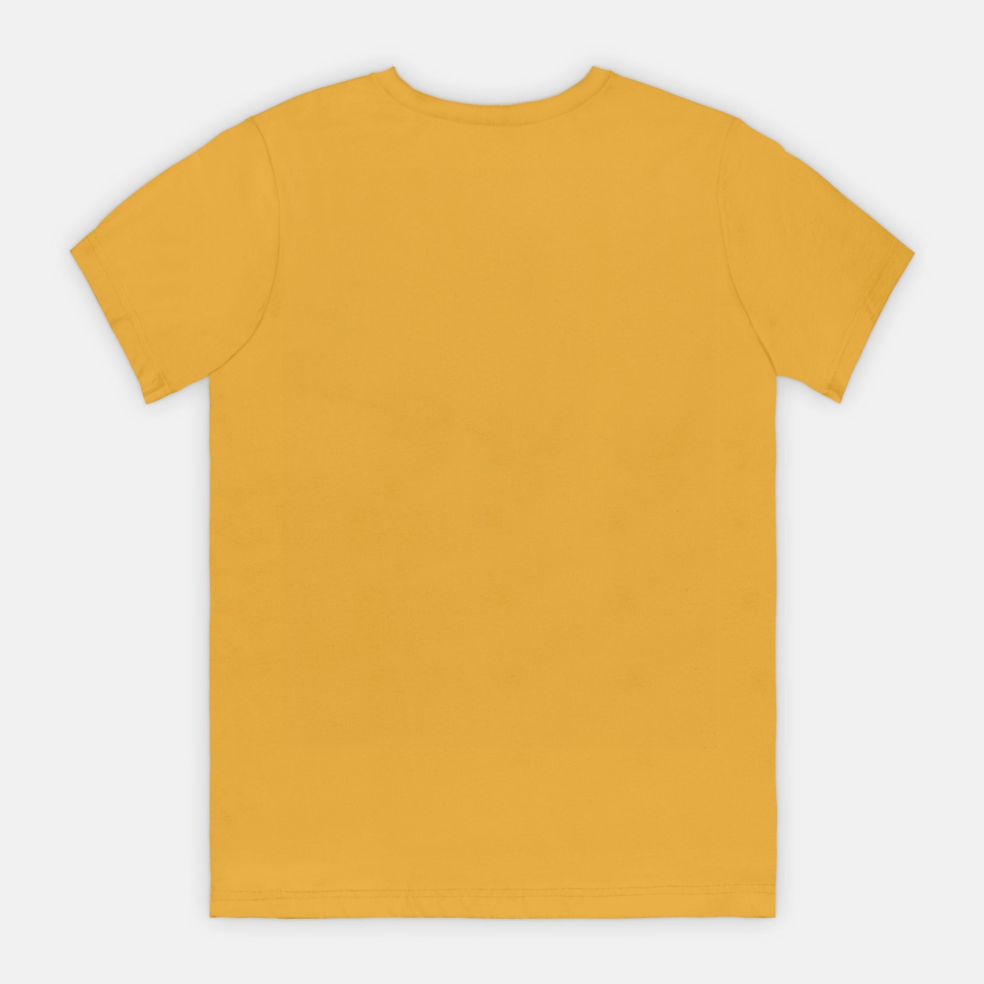 Protect Small Town Trans Kids T-shirt